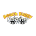 Beach Buggy Racing